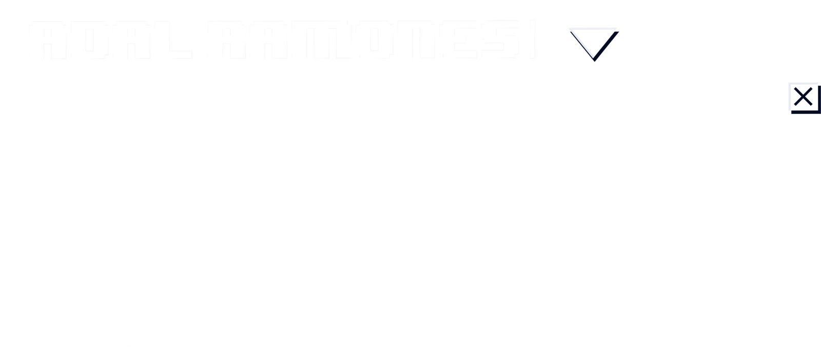 arte TITLE ADAL RAMONES
